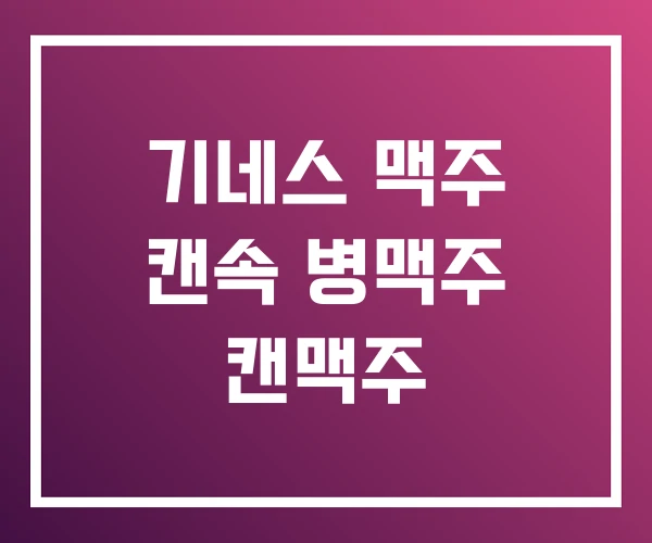 기네스 맥주 캔속 병맥주 캔맥주 기네스 맥주 캔속 병맥주 캔맥주