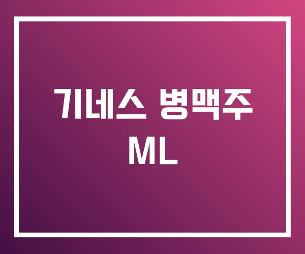 기네스 병맥주 ML