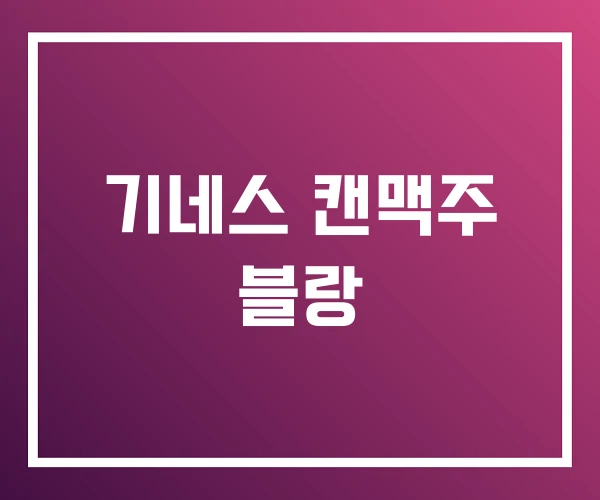 기네스 캔맥주 블랑 기네스 캔맥주 블랑