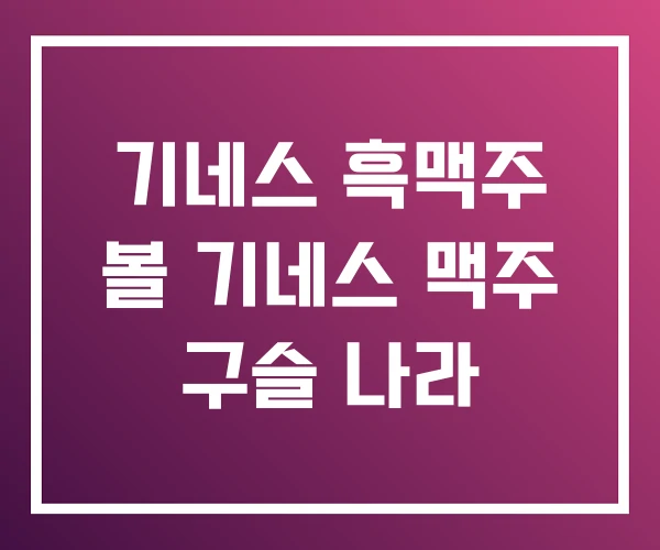 기네스 흑맥주 볼 기네스 맥주 구슬 나라 기네스 흑맥주 볼 기네스 맥주 구슬 나라