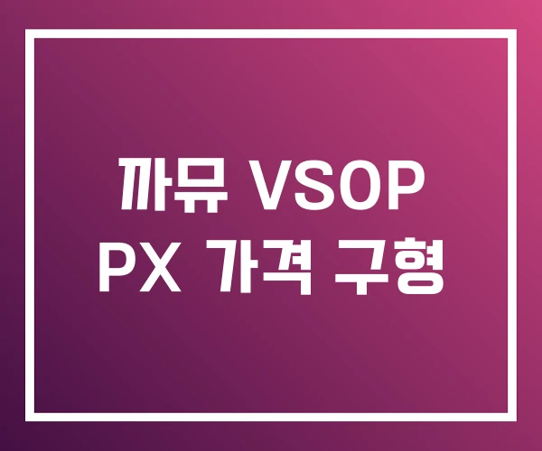 까뮤 VSOP PX 가격 구형 까뮤 VSOP PX 가격 구형
