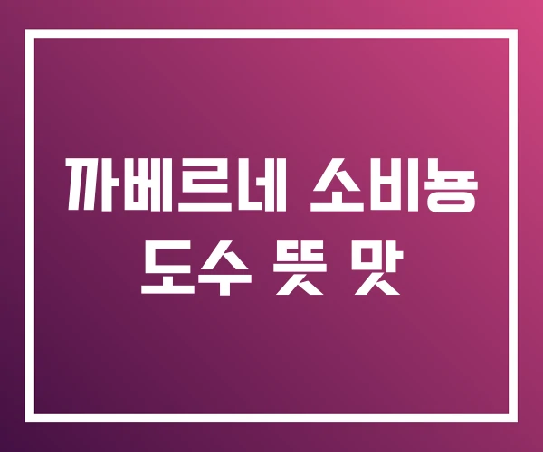 까베르네 소비뇽 도수 뜻 맛