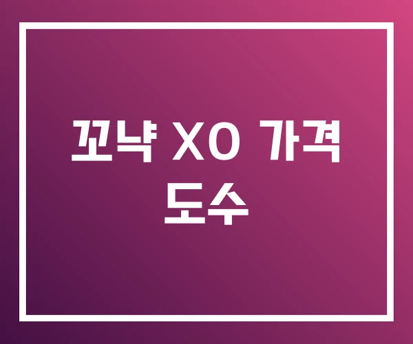 꼬냑 XO 가격 도수