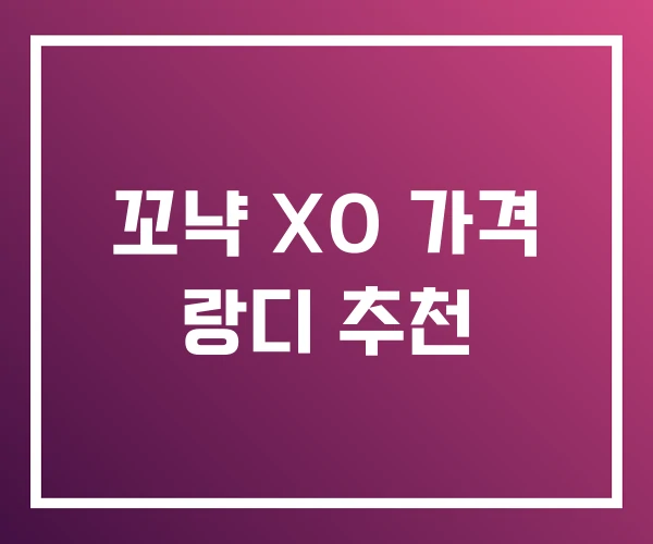 꼬냑 XO 가격 랑디 추천 꼬냑 XO 가격 랑디 추천