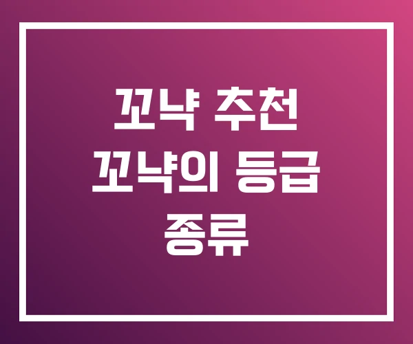 꼬냑 추천 꼬냑의 등급 종류 꼬냑 추천 꼬냑의 등급 종류