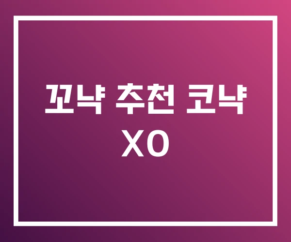 꼬냑 추천 코냑 XO