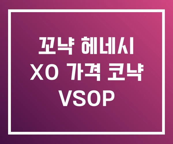 꼬냑 헤네시 XO 가격 코냑 VSOP 꼬냑 헤네시 XO 가격 코냑 VSOP