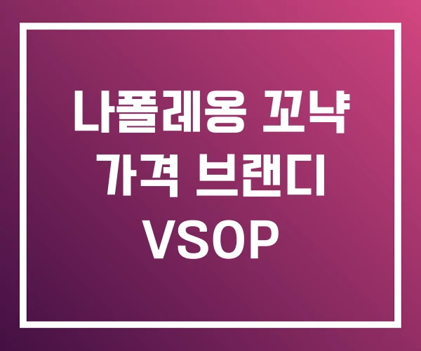 나폴레옹 꼬냑 가격 브랜디 VSOP