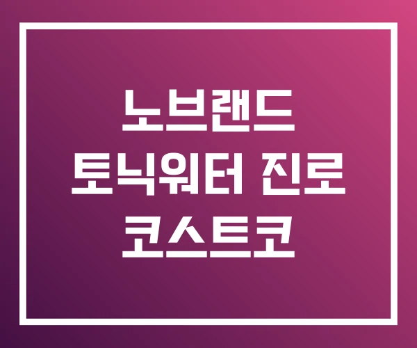 노브랜드 토닉워터 진로 코스트코