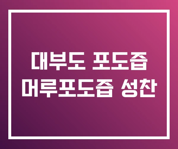 대부도 포도즙 머루포도즙 성찬