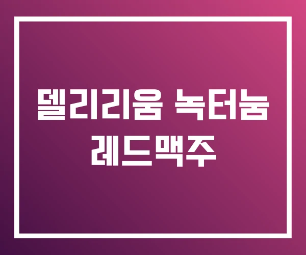 델리리움 녹터눔 레드맥주
