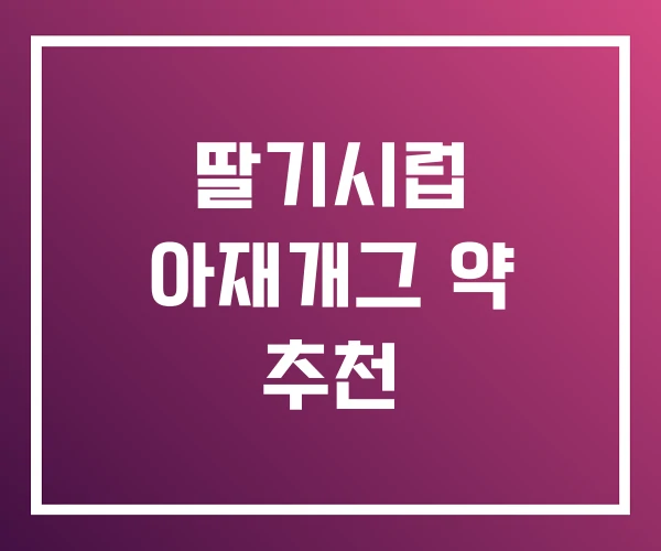 딸기시럽 아재개그 약 추천