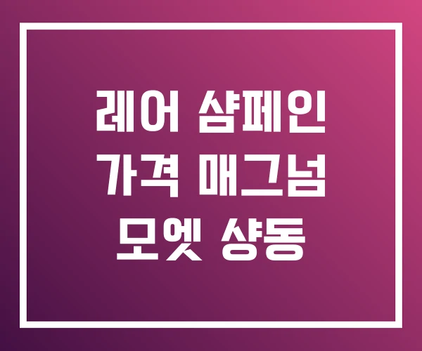 레어 샴페인 가격 매그넘 모엣 샹동