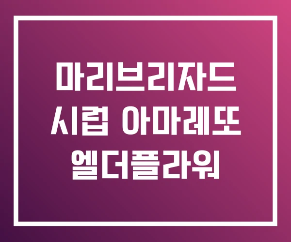 마리브리자드 시럽 아마레또 엘더플라워