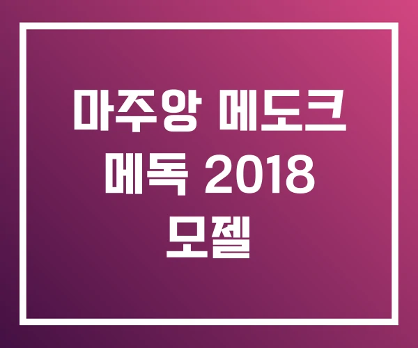마주앙 메도크 메독 2018 모젤