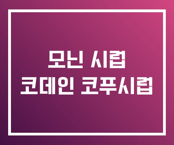 모닌 시럽 코데인 코푸시럽
