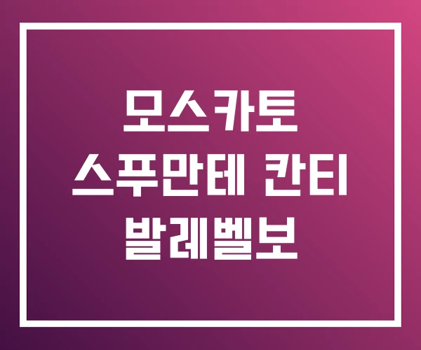 모스카토 스푸만테 칸티 발레벨보 모스카토 스푸만테 칸티 발레벨보