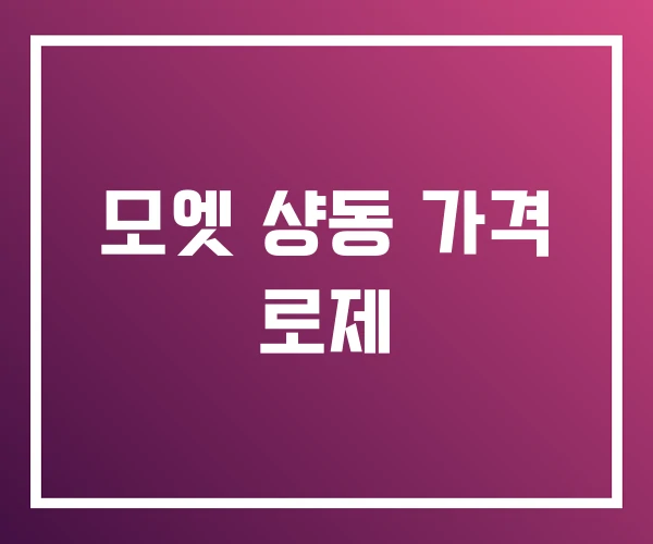 모엣 샹동 가격 로제