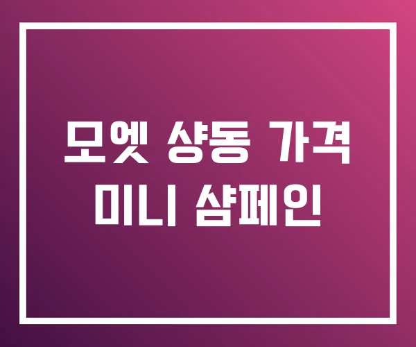 모엣 샹동 가격 미니 샴페인