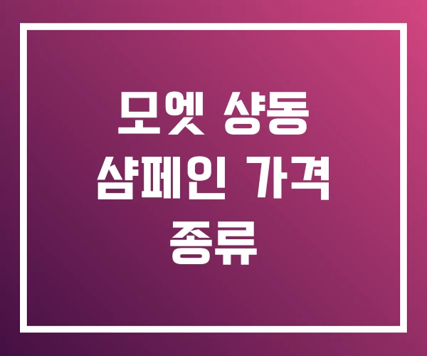 모엣 샹동 샴페인 가격 종류