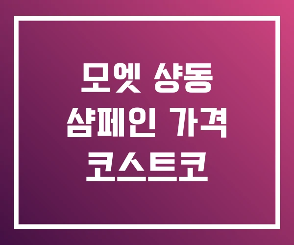 모엣 샹동 샴페인 가격 코스트코