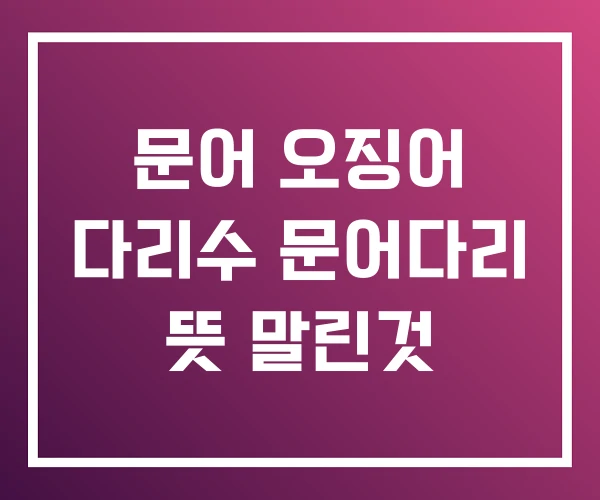 문어 오징어 다리수 문어다리 뜻 말린것