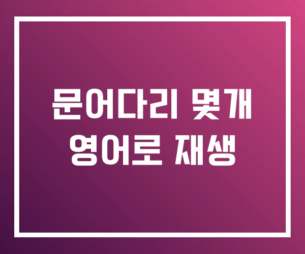 문어다리 몇개 영어로 재생