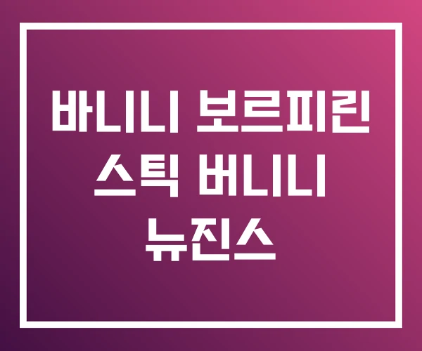 바니니 보르피린 스틱 버니니 뉴진스
