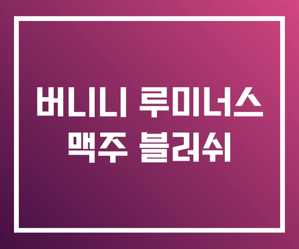 버니니 루미너스 맥주 블러쉬