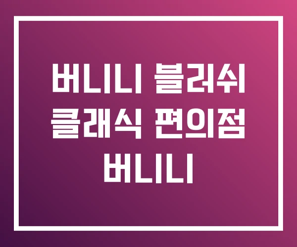 버니니 블러쉬 클래식 편의점 버니니