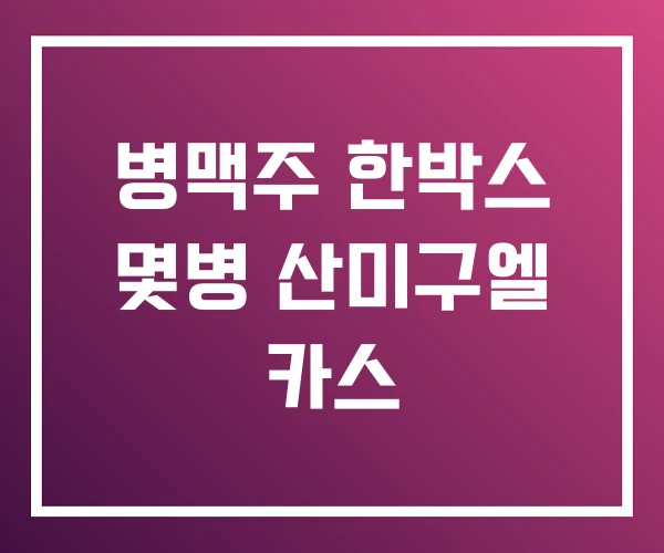병맥주 한박스 몇병 산미구엘 카스