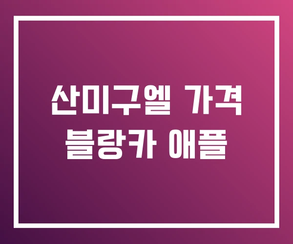 산미구엘 가격 블랑카 애플