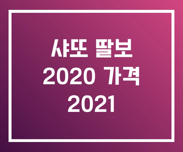 샤또 딸보 2020 가격 2021 샤또 딸보 2020 가격 2021