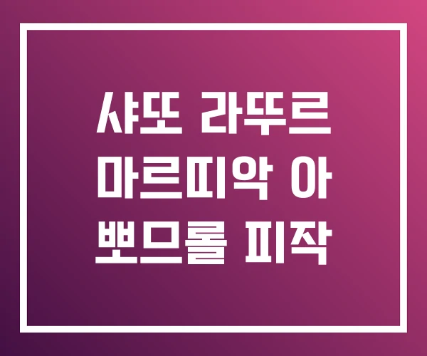 샤또 라뚜르 마르띠악 아 뽀므롤 피작