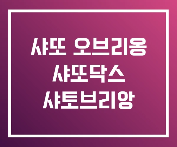 샤또 오브리옹 샤또닥스 샤토브리앙