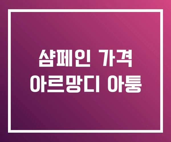 샴페인 가격 아르망디 아퉁