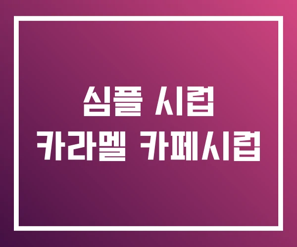 심플 시럽 카라멜 카페시럽