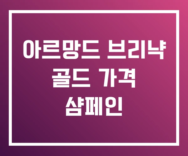 아르망드 브리냑 골드 가격 샴페인