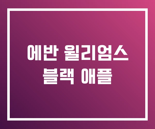 에반 윌리엄스 블랙 애플