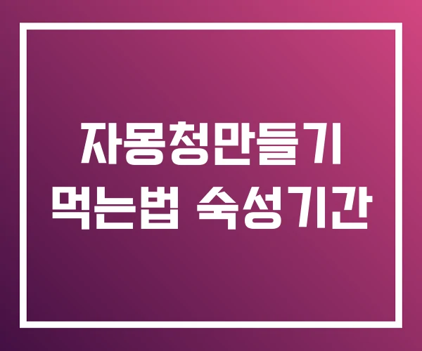 자몽청만들기 먹는법 숙성기간