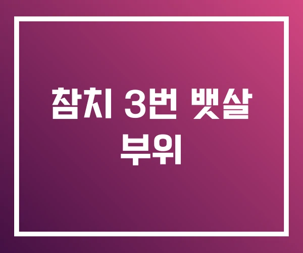 참치 3번 뱃살 부위