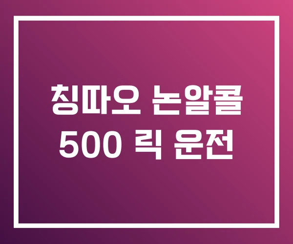 칭따오 논알콜 500 릭 운전 칭따오 논알콜 500 릭 운전