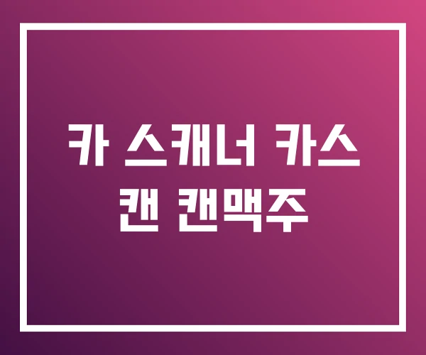 카 스캐너 카스 캔 캔맥주 카 스캐너 카스 캔 캔맥주