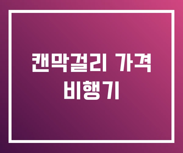 캔막걸리 가격 비행기 캔막걸리 가격 비행기