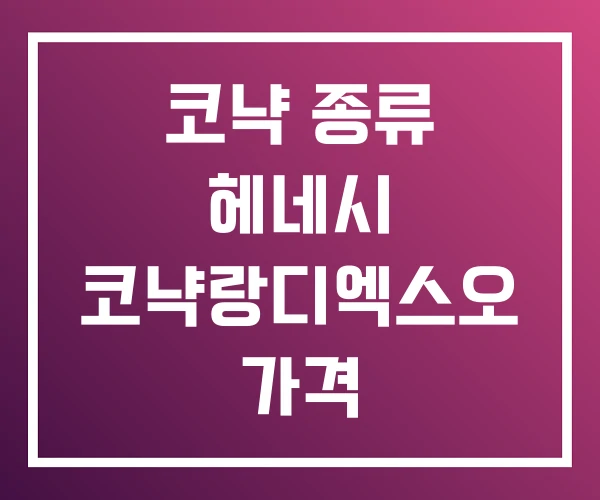코냑 종류 헤네시 코냑랑디엑스오 가격 코냑 종류 헤네시 코냑랑디엑스오 가격