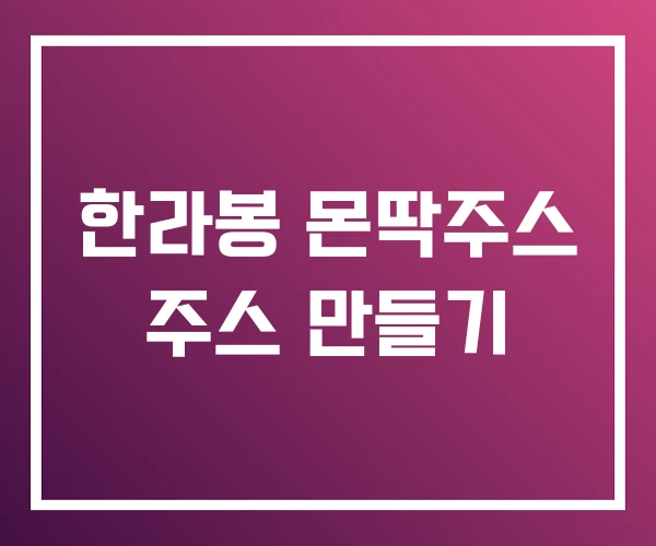 한라봉 몬딱주스 주스 만들기