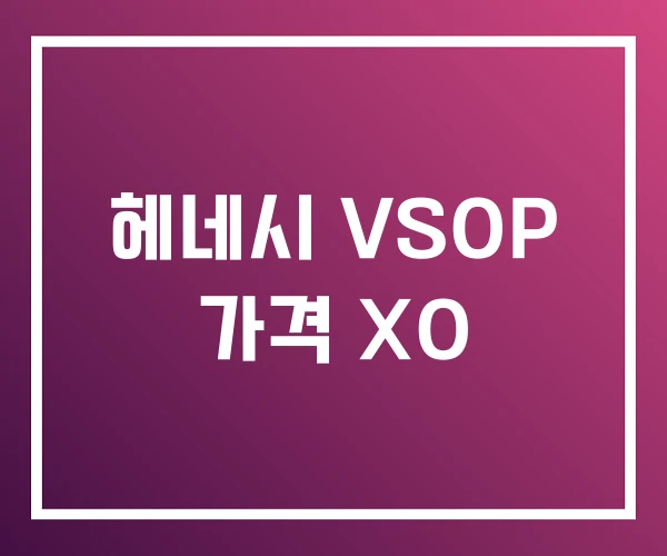 헤네시 VSOP 가격 XO 헤네시 VSOP 가격 XO