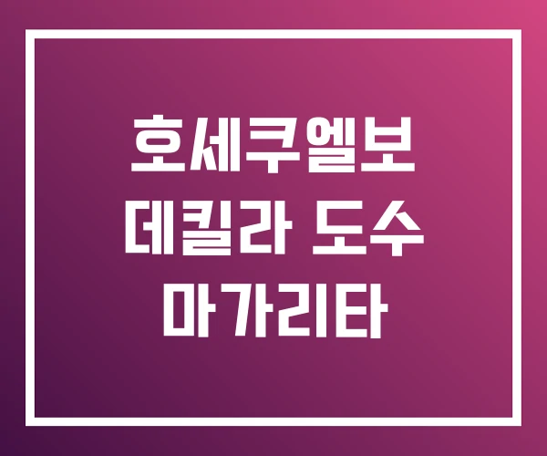 호세쿠엘보 데킬라 도수 마가리타