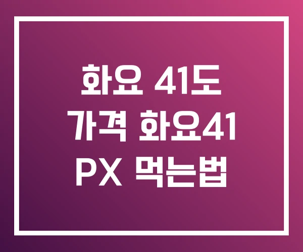 화요 41도 가격 화요41 PX 먹는법