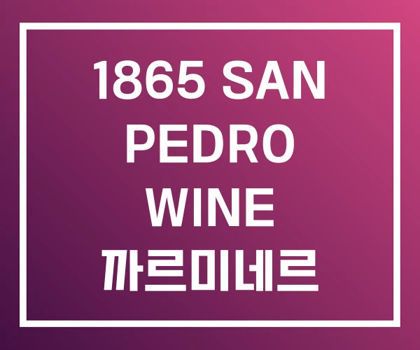 1865 SAN PEDRO WINE 까르미네르